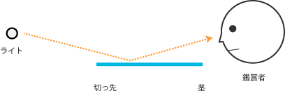 刃文を見るとき1